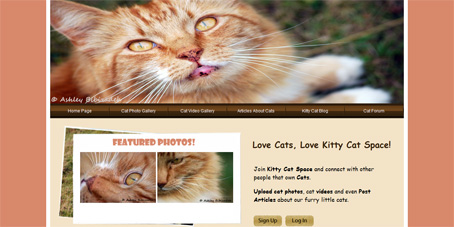 www.kittycatspace.com